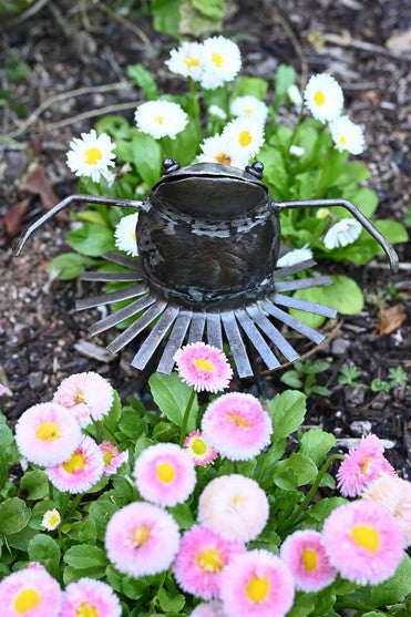 Upcycled Dancing Frog